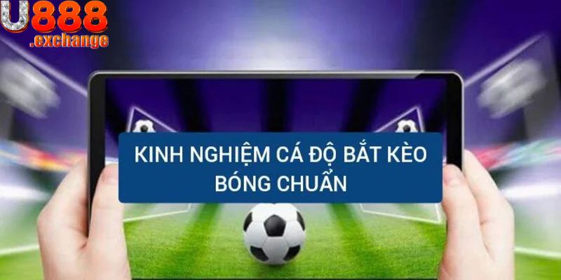 Kinh nghiệm đặt cược theo kèo chấp 1.75 là gì?